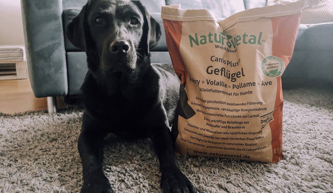 naturavetal-hundefutter-test-hund-erfahrung-bericht-blog