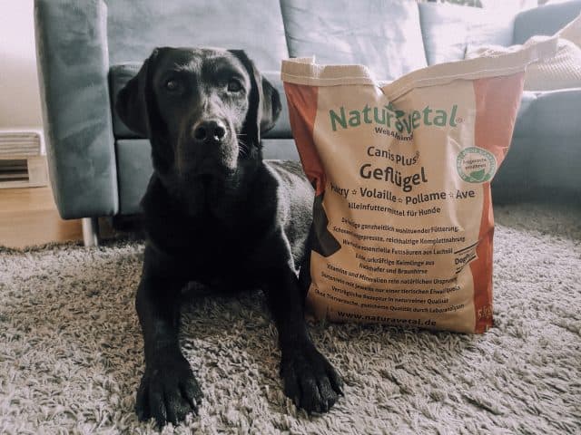 naturavetal-hundefutter-test-hund-erfahrung-bericht-blog