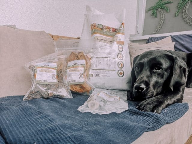 bellfor-hundefutter-im-test