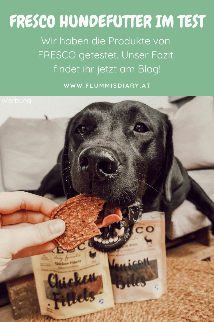 fresco-hund-futter-test-bewertung