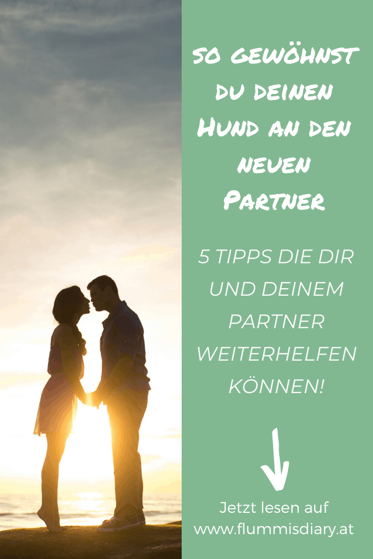 so-gewoehnst-du-deinen-hund-an-den neuen-partner-tipps