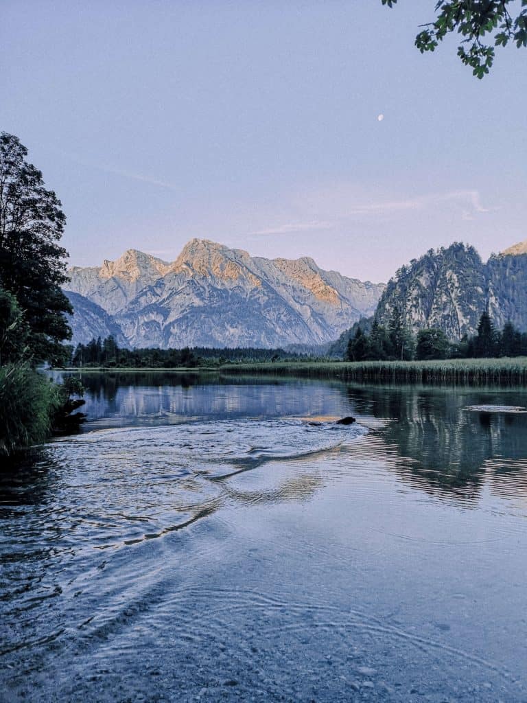 almsee-mit-hund-almtal-leinenpflicht