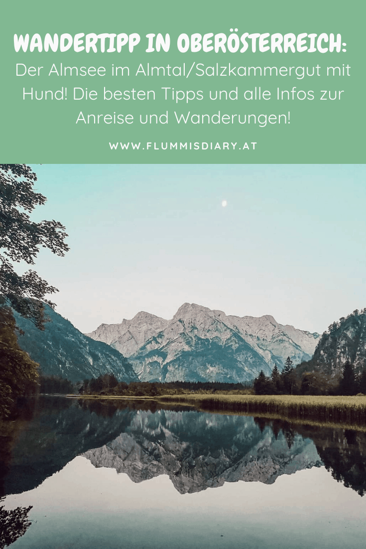 almsee-mit-hund-salzkammergut