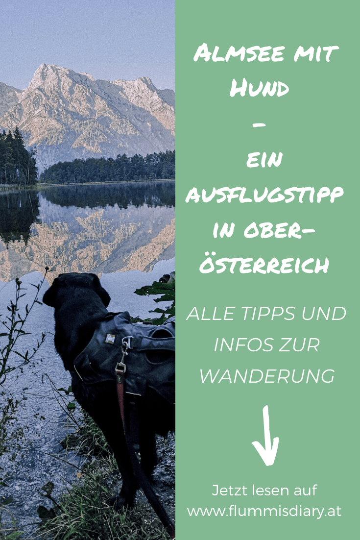 almsee-mit-hund-tipps-oberoesterreich