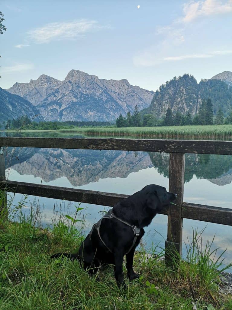 almsee-mit-hund-tipps-wandern