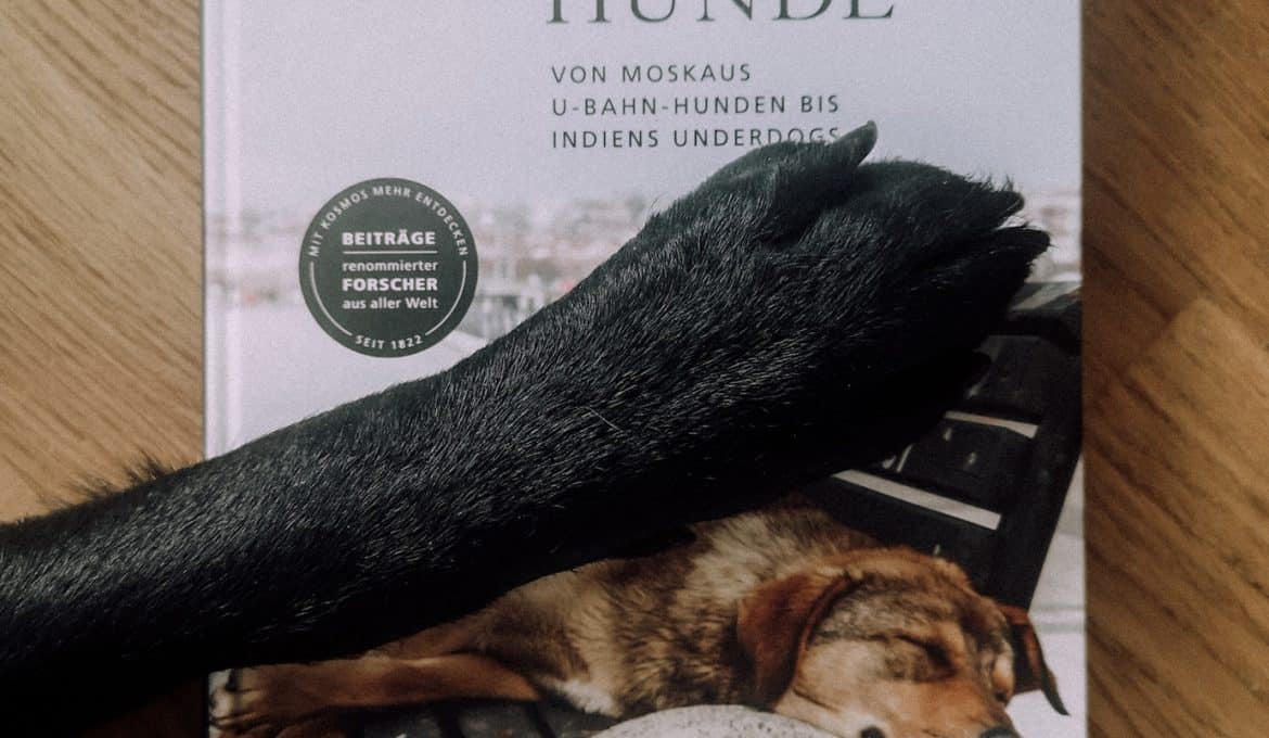 streunerhunde-buchreview-kosmos-blog-bewertung