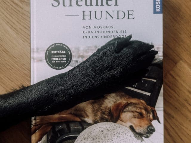 streunerhunde-buchreview-kosmos-blog-bewertung