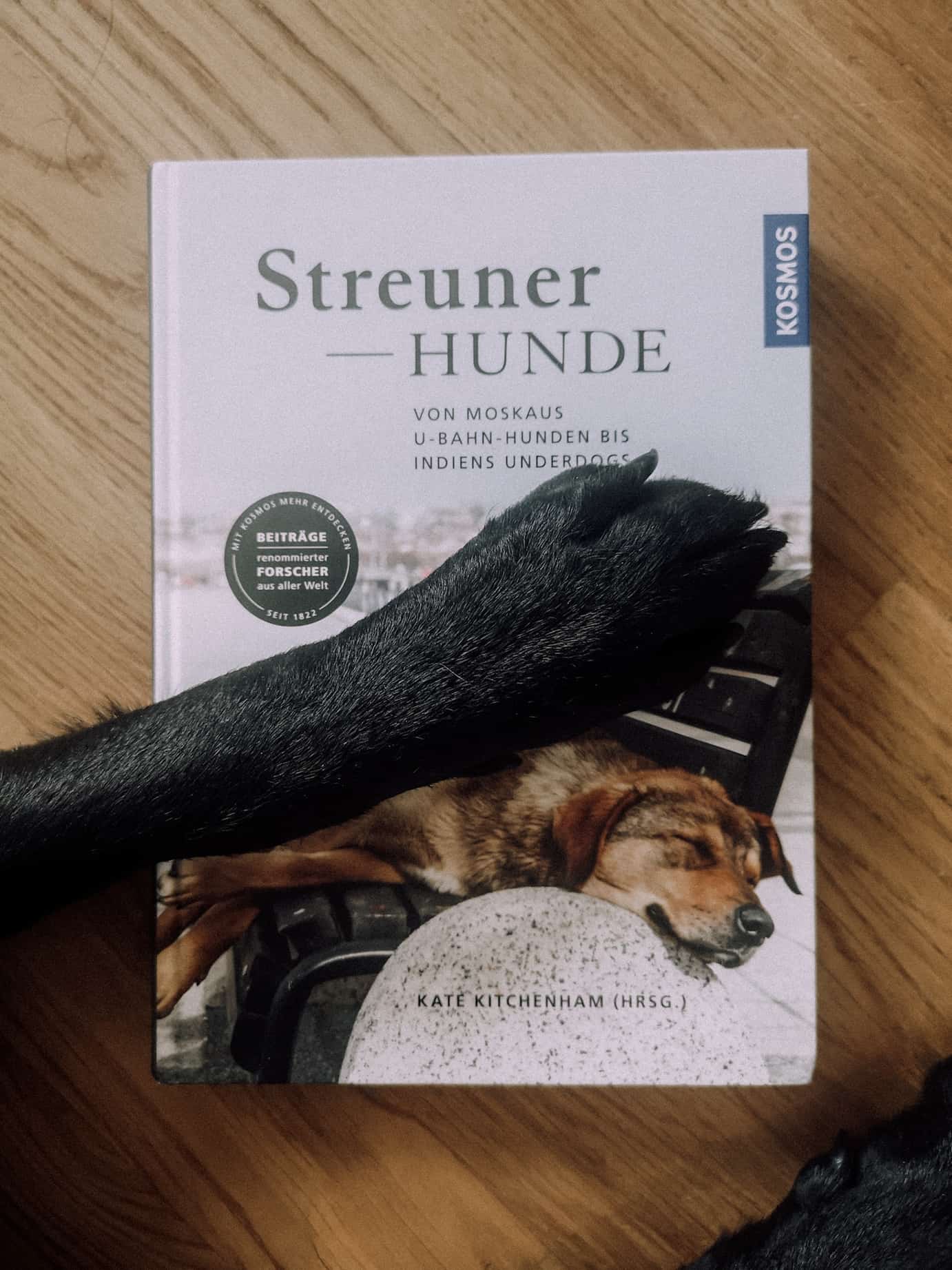 streunerhunde-buchreview-kosmos-blog-bewertung