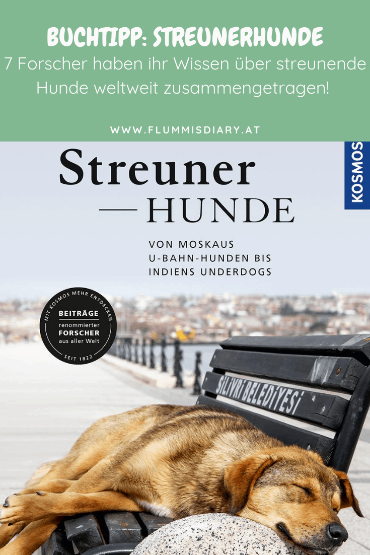 streunerhunde-kosmos-buchreview
