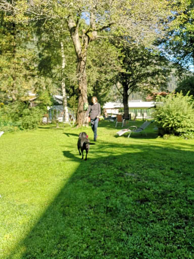 urlaub-mit-hund-bewertung-gastein