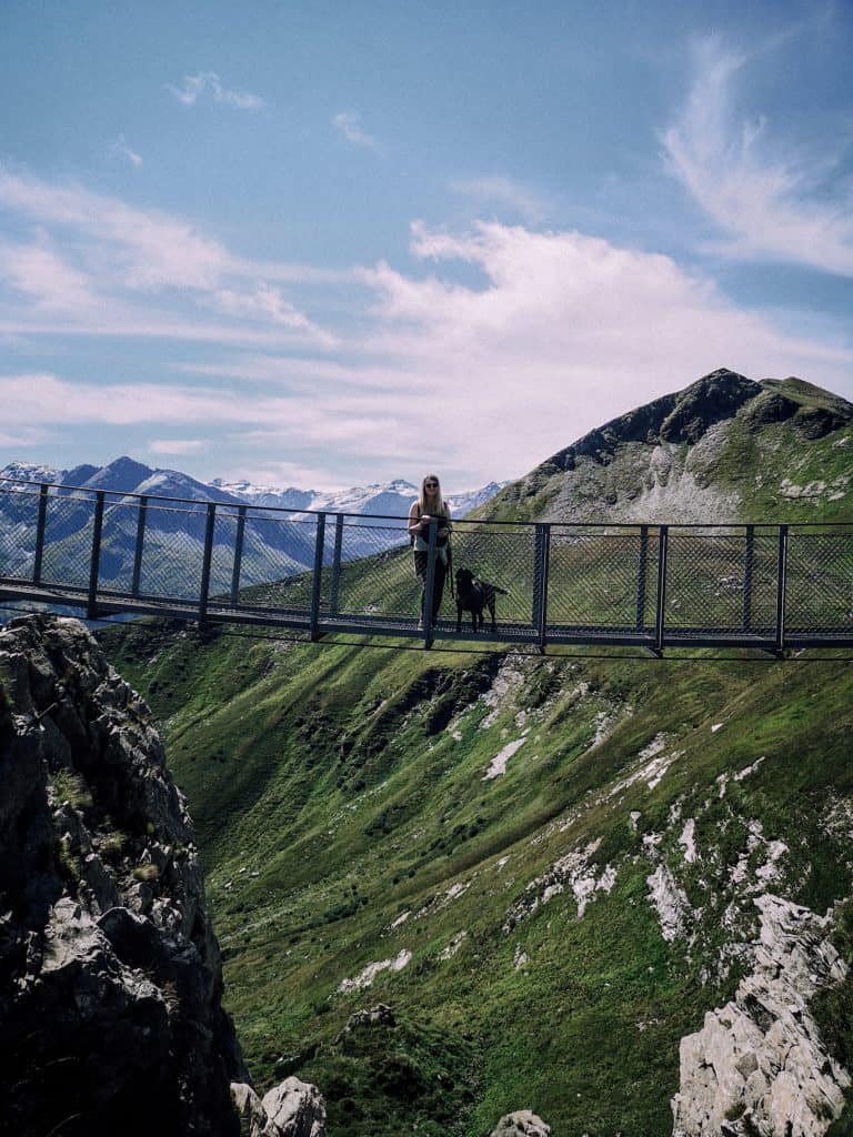 stuberkogel-wanderung-hund-gastein-salzburg-hunde