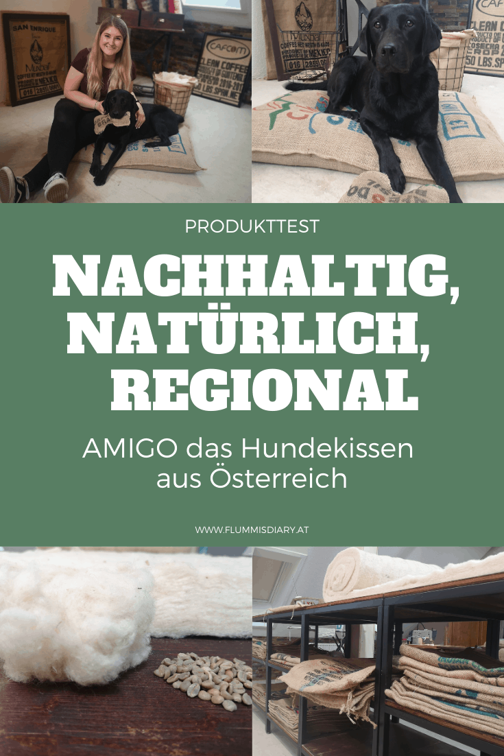 hundekissen-aus-oesterreich-regional-hund