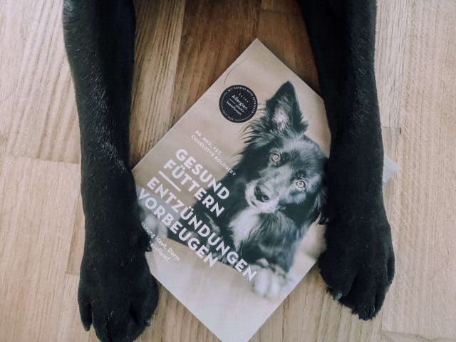 gesund-fuettern-entzuendungen-vorbeugen-buch-rezension-blog.png