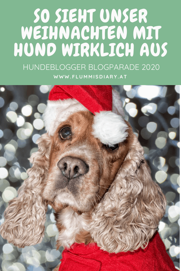weihnachten-mit-hund-blog-tipps-flummisdiary-2020