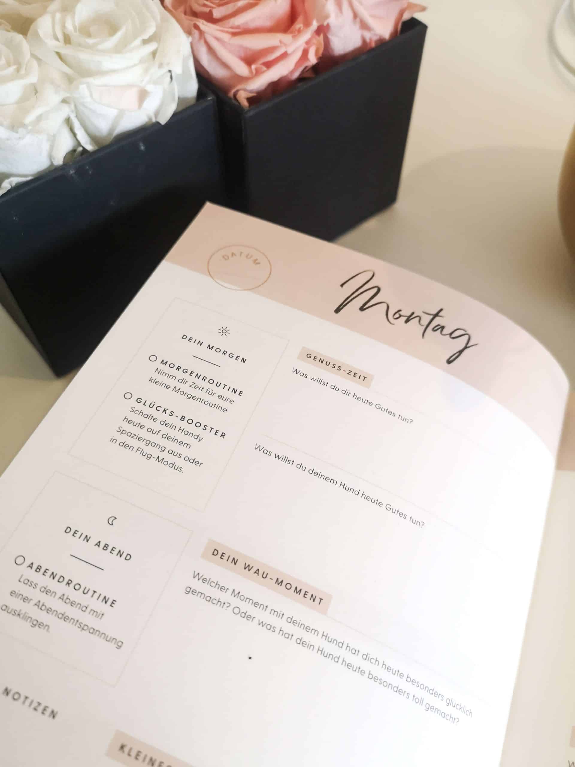Frauchens-gluecksjournal-flummis-diary-buchreview