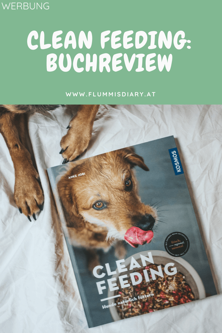 Pinterest Flummi's Diary Annas Vorlagen (2)