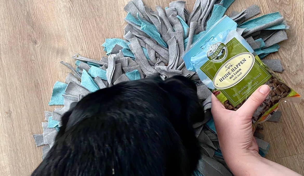 zooexperte-test-futter-hunde-2