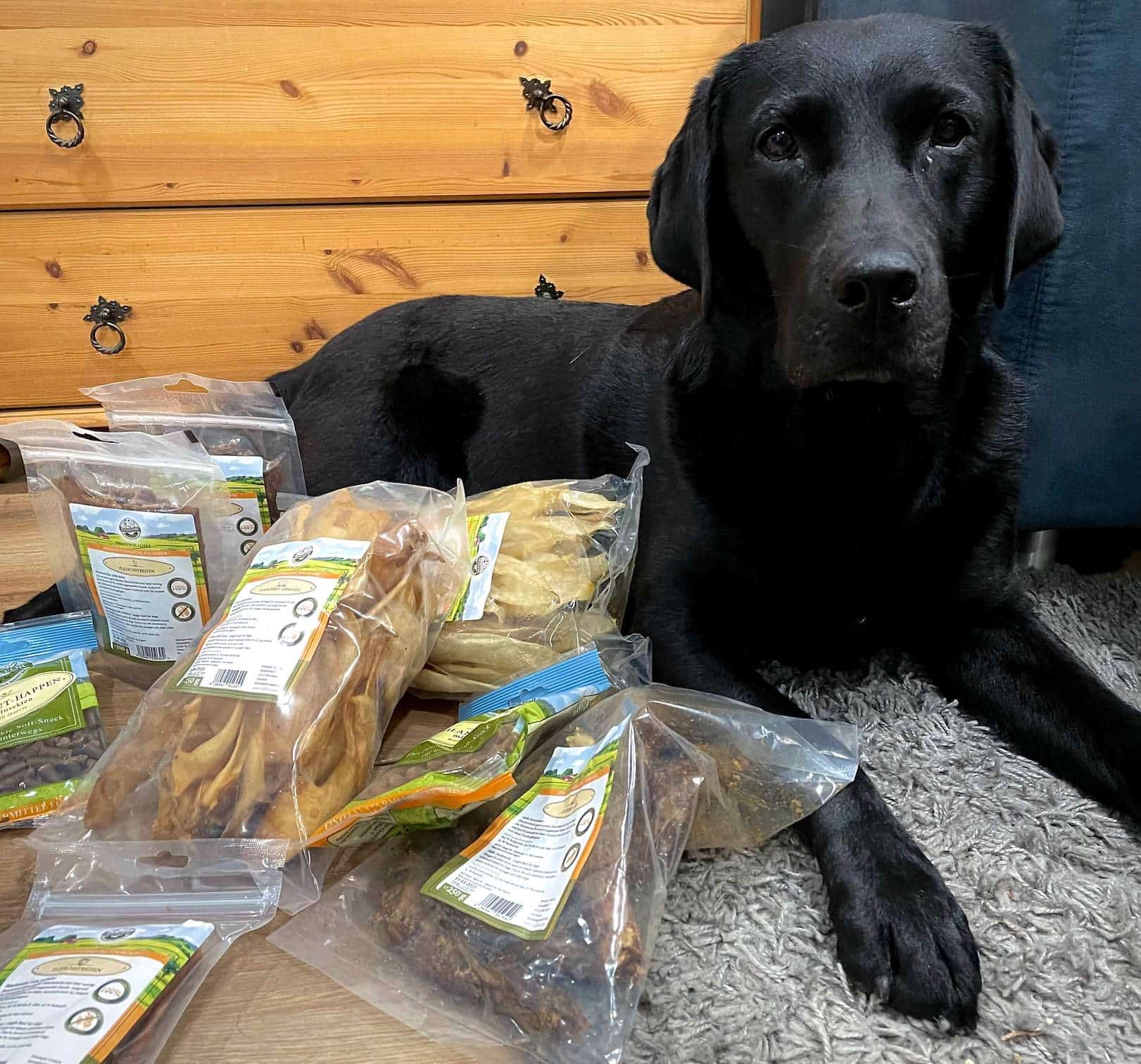 zooexperte-test-futter-hunde-hund-2