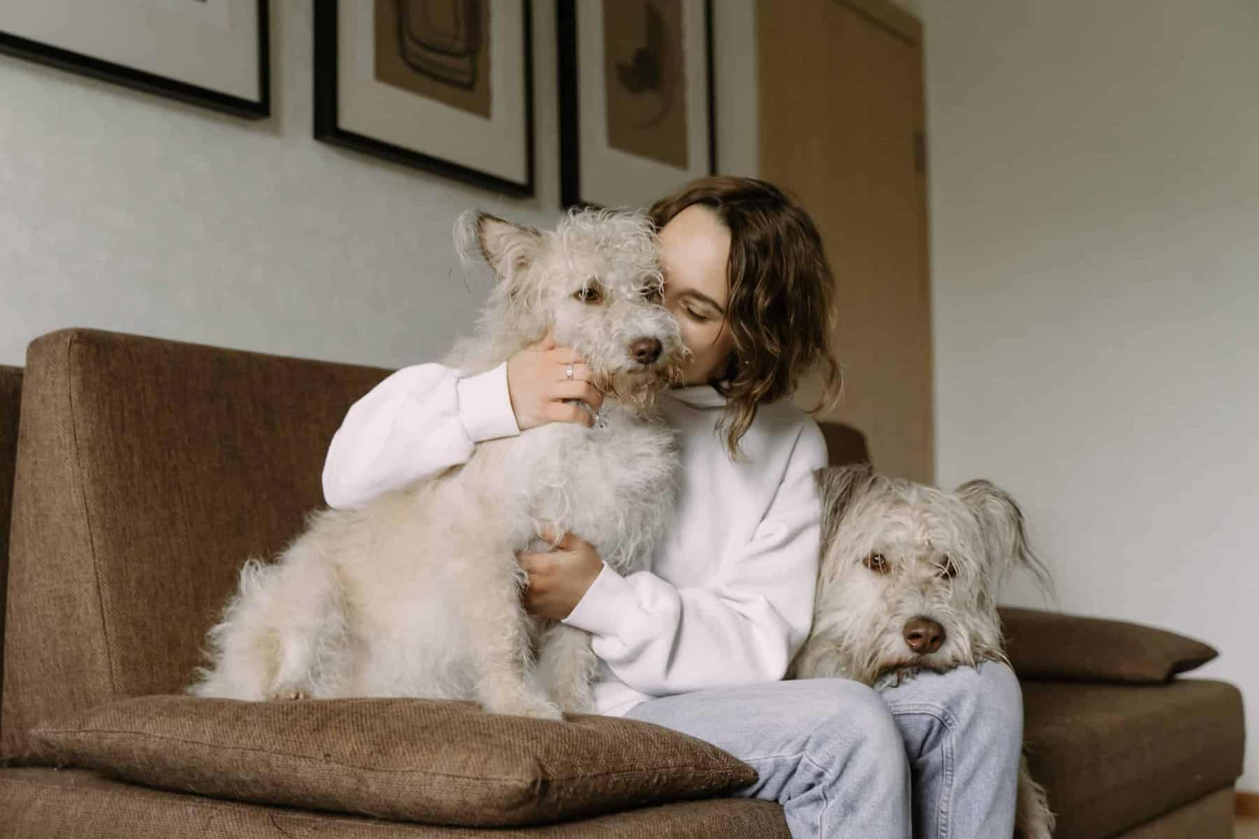 woman with dogs-indoor air quality-Frank Gay Services 