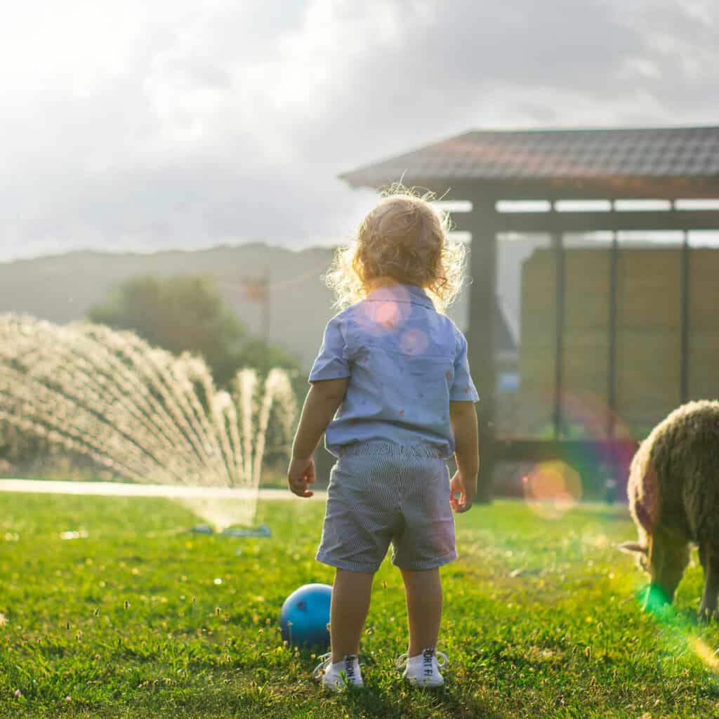 A young child stands on grass near a blue ball, facing away, with a sheep and water sprinkler in the background—perfect for enjoying summer days and testing out summer plumbing maintenance.