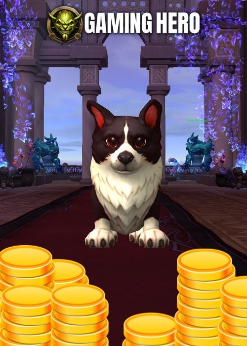 WoW How To Farm Corgnelius