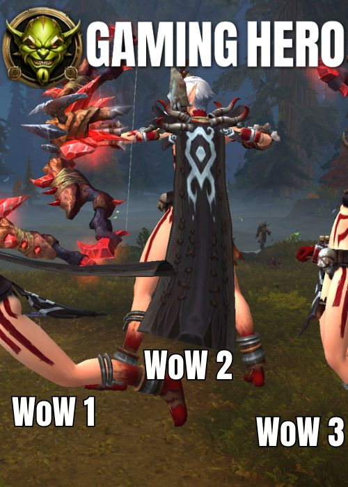 Multi-Boxing, Gold Grinding.