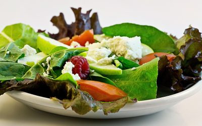 Kickstart Your Carnivore Diet Journey with GoingCarnivore.com: Essential Tips & Tools