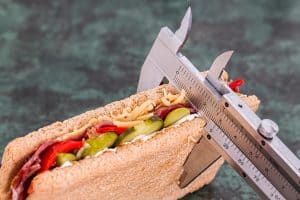 Info: Transitioning to a meat-only diet requires a thoughtful approach.