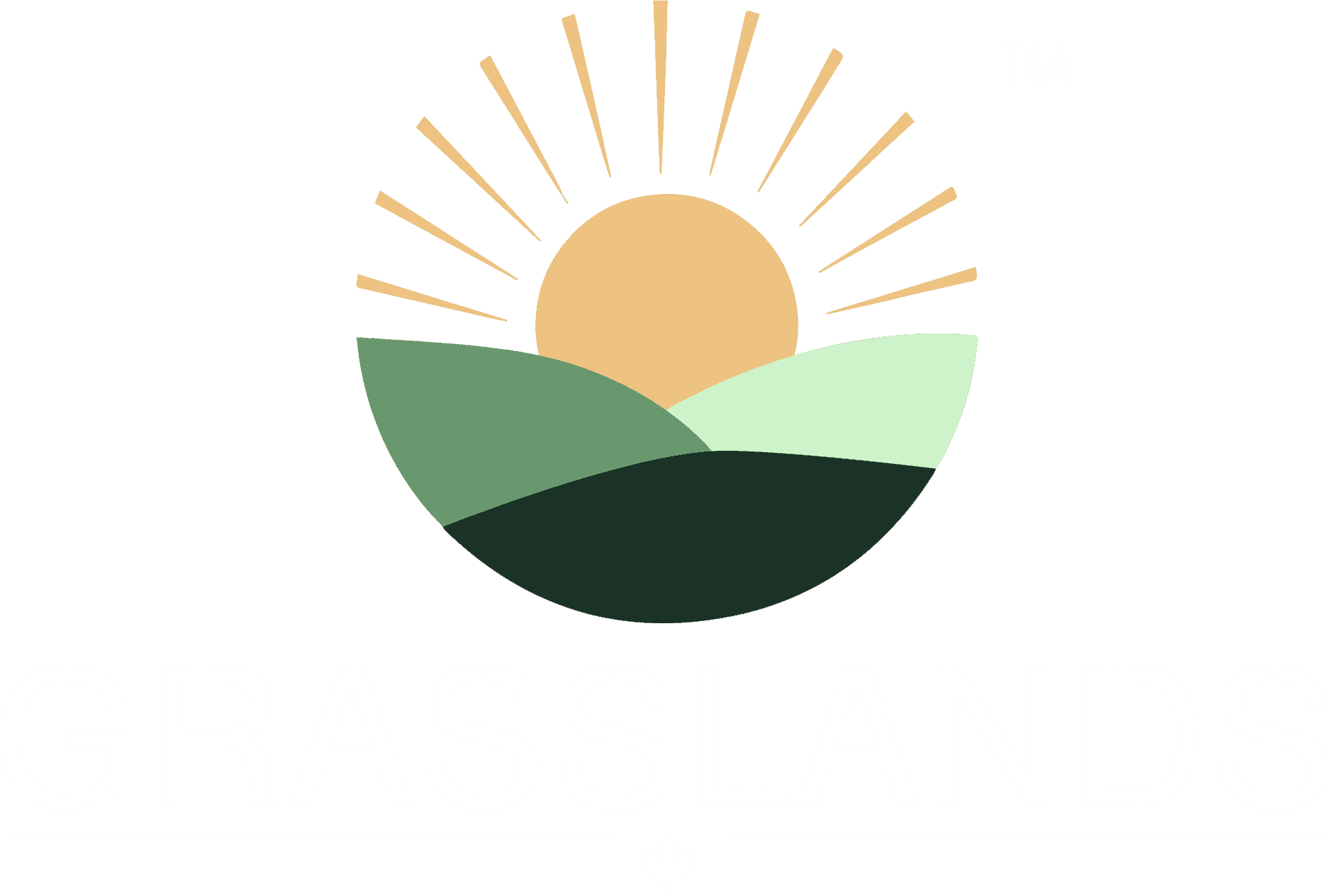Grasslands LTD