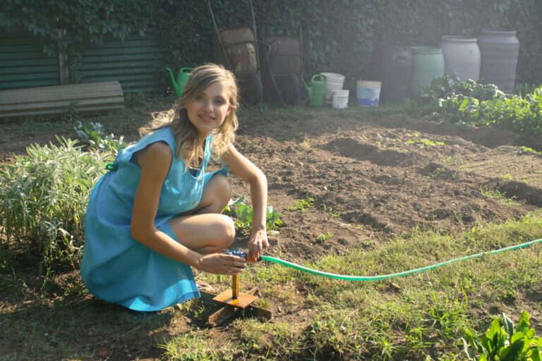 What is cover crops