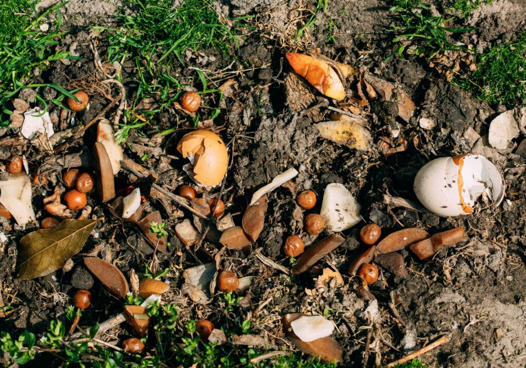 What can you compost at home