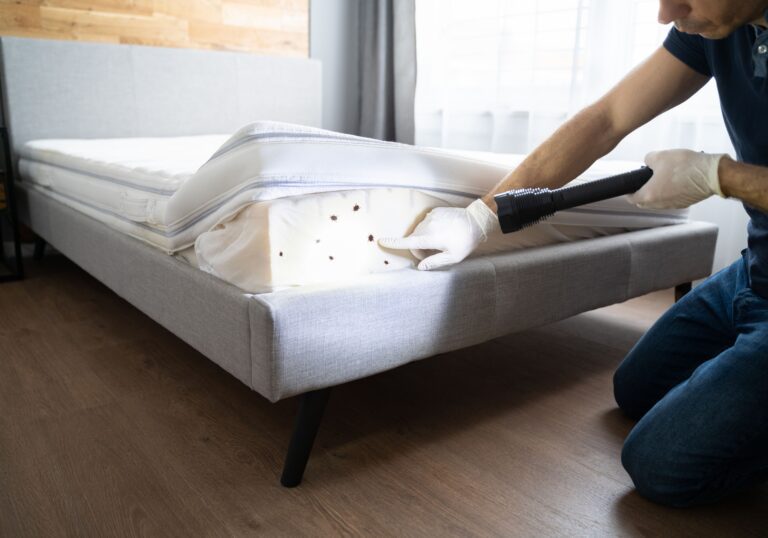 Chemicals for eradicating bed bugs and their eggs