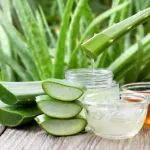 A aloe vera plant and a jar of gel