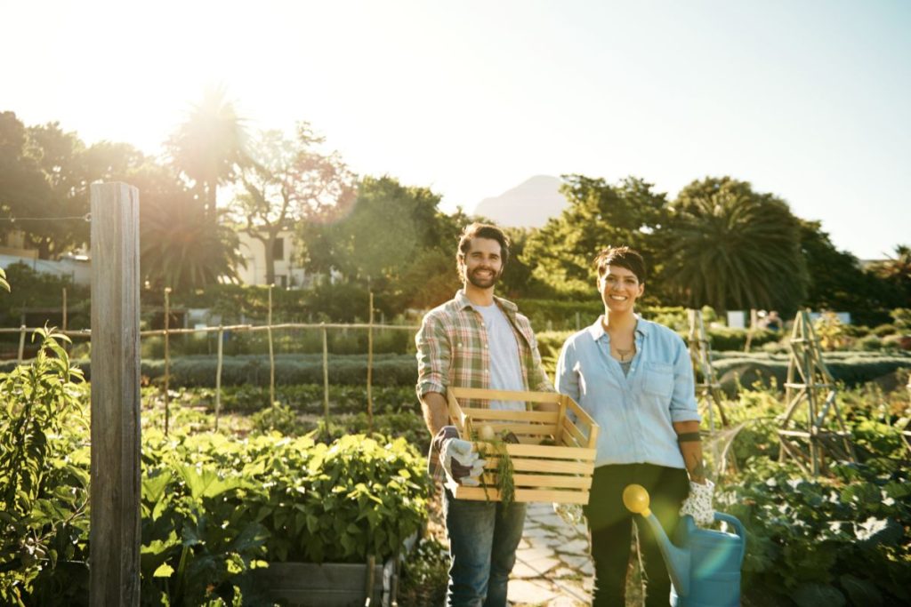 Green living tips
