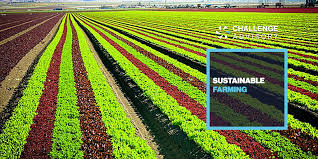 Sustainable farming