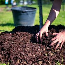 Organic mulching