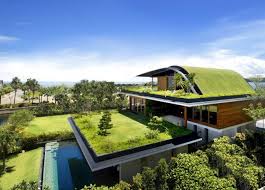 Green roofing guide