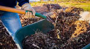 Organic Soil Restoration: How To Restore Soil Health For Better Yields 2 Organic matter for organic soil restoration