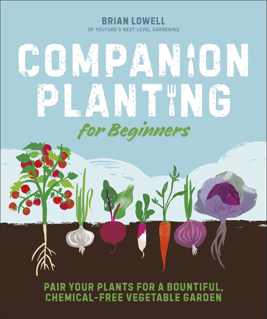 Organic companion planting guide for beginners