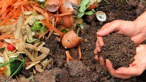 Kitchen waste fertilizer guide