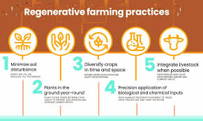 Organic farming practices: the top 7 regenerative practices