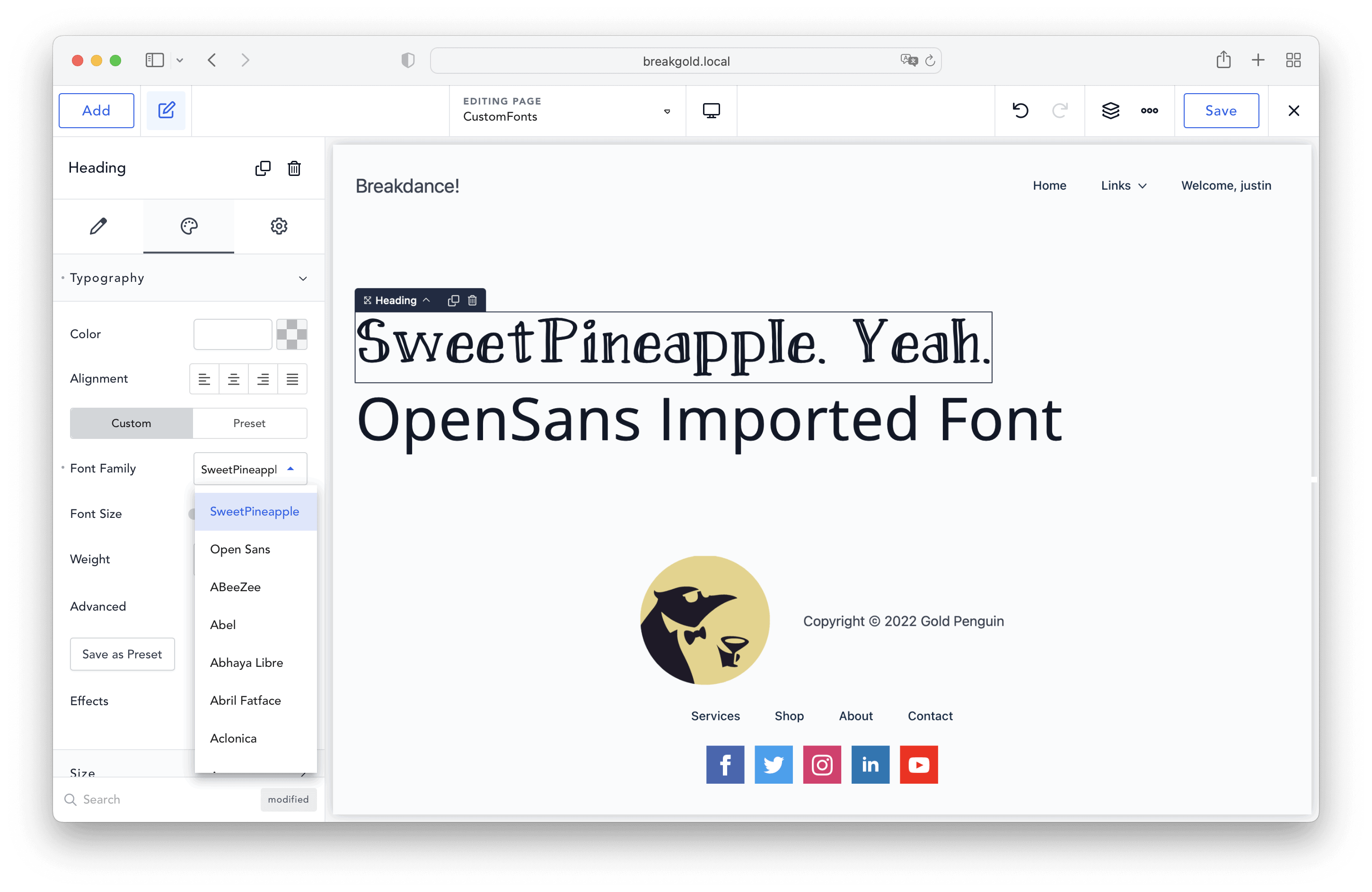 Displaying custom fonts in breakdance builder