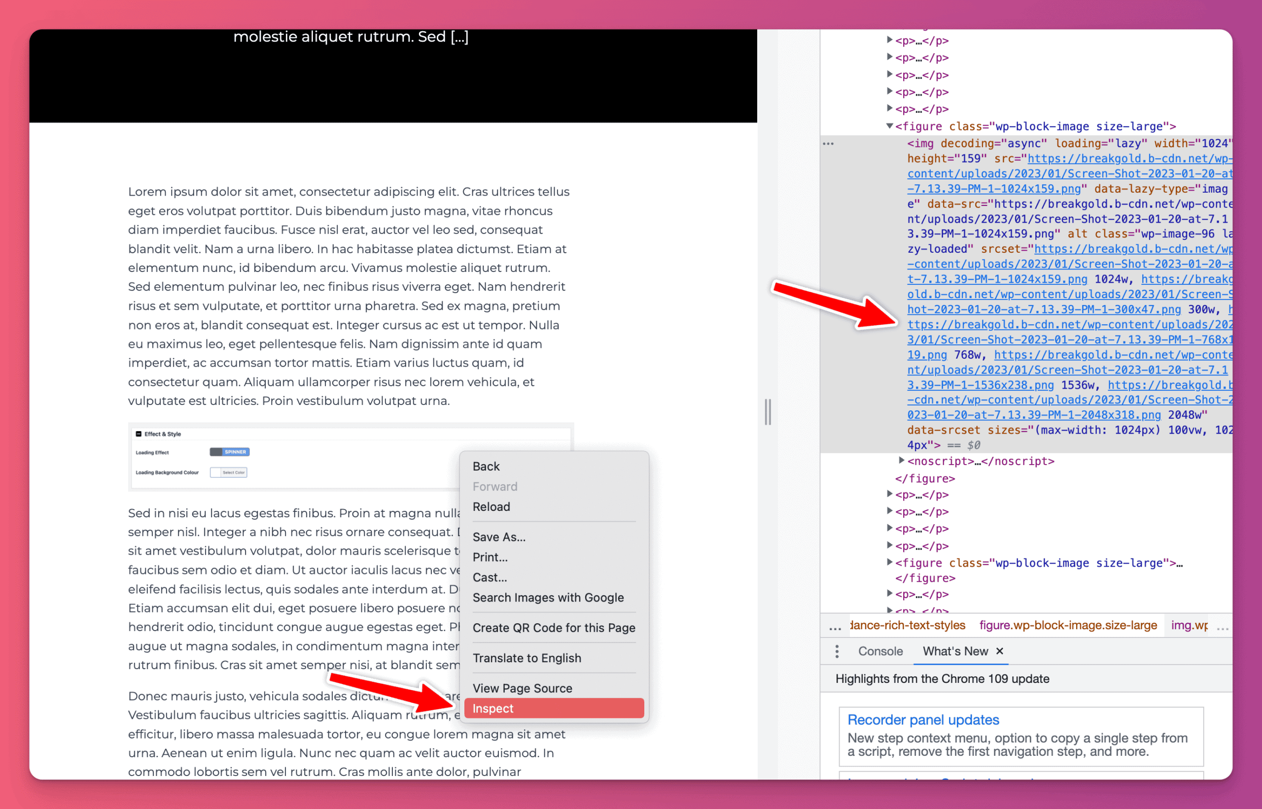 Page inspect element showing CDN is connected to website as an image is getting pulled from b-cdn.net
