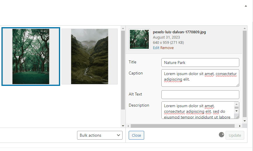 add photo details in Breakdance