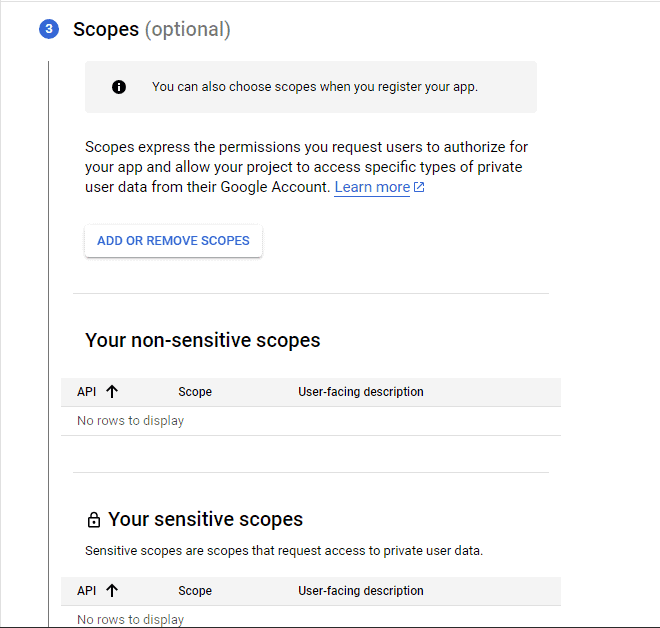 Google cloud console scopes settings