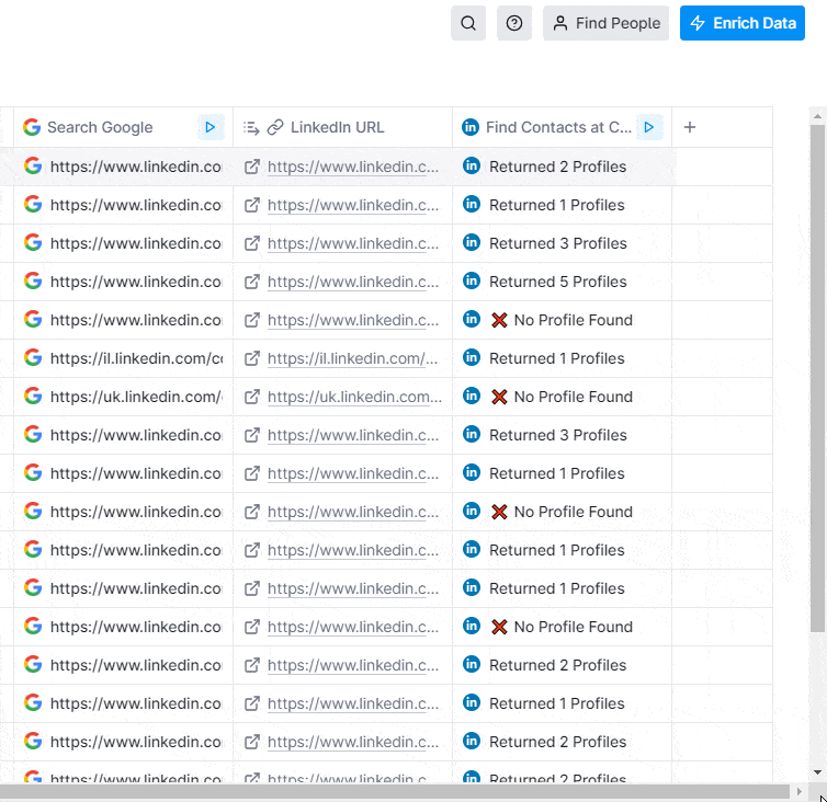 Search Google enrichment results
