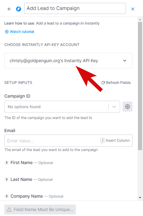 paste Instantly API key to Clay