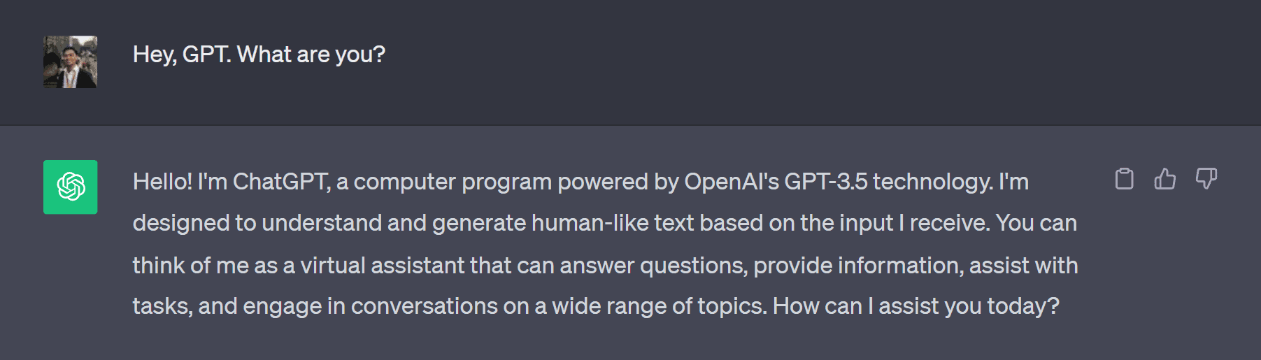 ChatGPT Interface