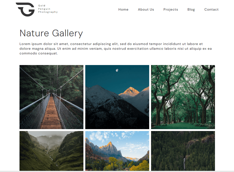 photography website