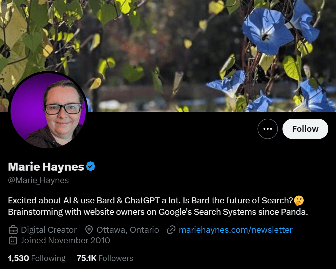 Marie Haynes Twitter